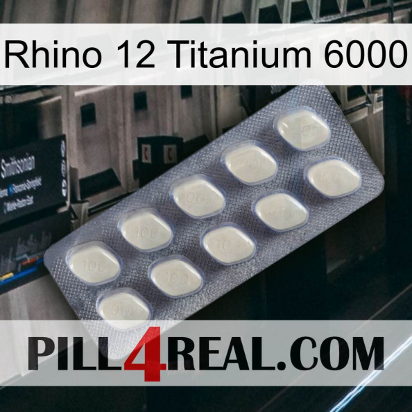 Rhino 12 Titanium 6000 08.jpg